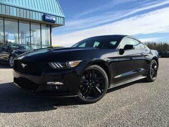 Related Wallpaper From Ford Mustang Ecoboost Black