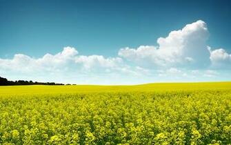 Wallpaper Scenery Hoppipolla Desktx