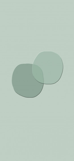 Sage Green Aesthetic Wallpaper