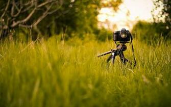 Canon Camera In The Grass Wallpaper Photography