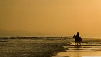 Horse Riding On The Beach Wallpaper