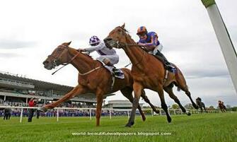 Hot Actress Wallpaper Racing Horse