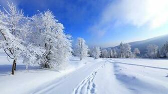 Winter High Definition Wallpaper For Desktop
