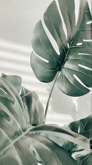 Edited In Wallpaper