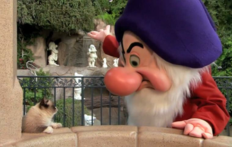 Grumpy Cat Meets The Dwarf At Disneyland Png