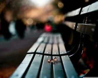 Save My Love For Loneliness 4k HD Desktop Wallpaper