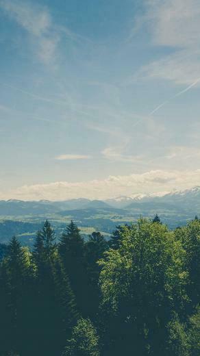 Green Land Sky Blue Summer Nature iPhone Wallpaper
