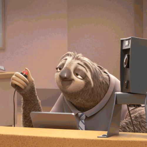 Lol Camera Bunny Sloth Zootopia Slowmo Sloths Slow Your Roll
