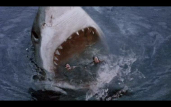 Megalodon Shark Attack Wallpaper HD Sharks