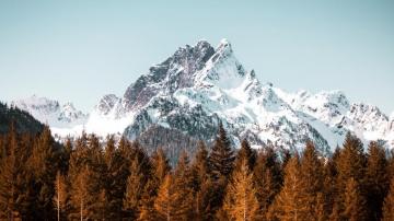4k Mountain Forest Trees Wallpaper