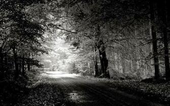 Best Wallpaper Photography Black And White Nature