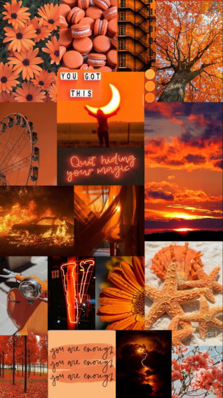 Aesthetic Orange Mood Board Wallpaper Summer