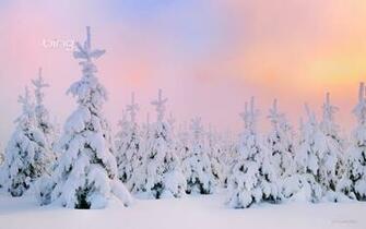 Bing Wallpaper And Screensaver Pack Winter Baixaki