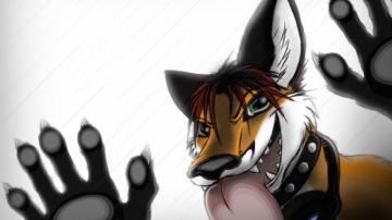 Furry Desktop Wallpaper For Your