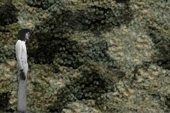 Lil Druzy Flavor Paper