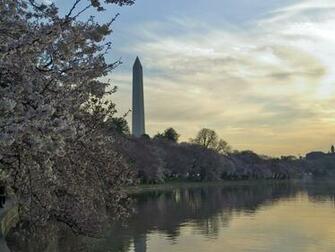 Name More Beautiful Washington Dc Wallpaper Flgrx Graphics