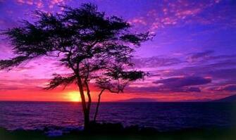 Beautiful Nature Image Sunset Wallpaper Photos