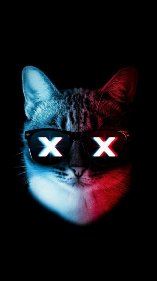 Cats Wallpaper