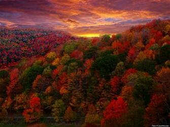 Fall Foliage