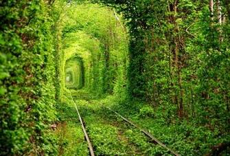 Interesting Pictures That Prove How Amazing Our World Can Be