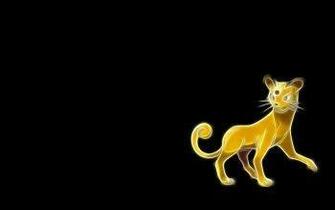 Persian Pok Mon HD Wallpaper Background