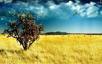 Beautiful And Amazing Wide Screen Wallpaper