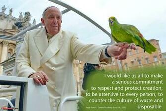 Pope Francis Green Wallpaper The Southern Cross