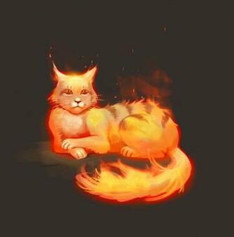 Free download Fire cat Wallpaper 30005 [2560x1600] for your Desktop, Mobile & Tablet | Explore