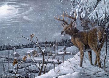 Wallpaper Deer In Snow On