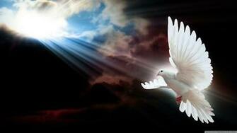 Dove Wallpaper Top Background