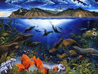 Animal Sea Life Wallpaper