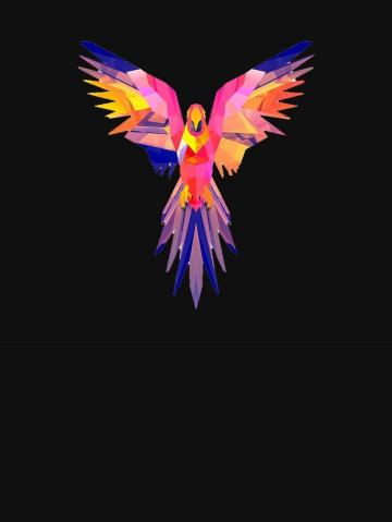 Ara Parrot Abstract Art Modern Color Beauty Nature Essential T