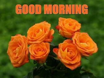 Good Morning Rose Flowers Fresh Image Wallpaper Happy Wonder World