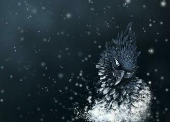 Art Bird S Head Points Spark Feathers Wallpaper