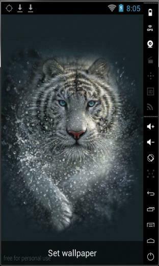 White Bengal Tiger Live Wallpaper For Your Android Phone