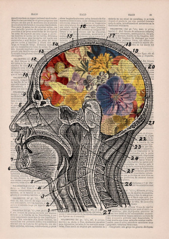 Psychology iPhone Wallpaper On