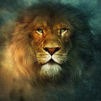 Beautiful Animals Safaris Amazing Lions Big Cats Africa S Dangerous