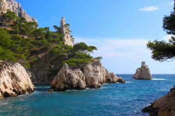Trees France Coast Landscape Nature Rock