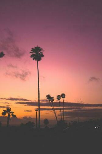 Cali Wallpaper Top Background
