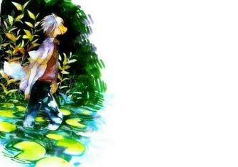 Into The Forest Of Fireflies Light Wallpaper And