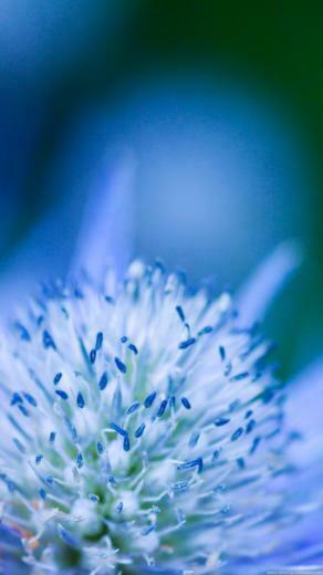 Wallpaper For Samsung Galaxy S3 HD S37