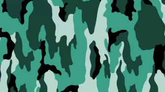 Camouflage Desktop Wallpaper
