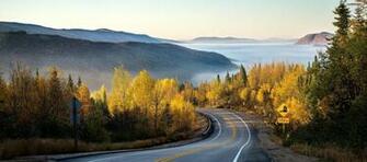 Forest Road Wallpaper Crown Technology Llc