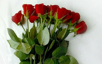 Go Back To Beautiful Flower Bouquet Wallpaper Image Next Image