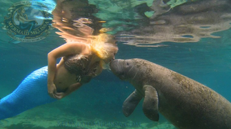 Mermaid For Hire Melissa Real Life Performer
