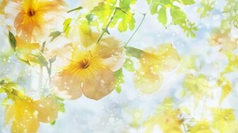 Full HD High Definition Wallpaper Pictures For Desktop Background