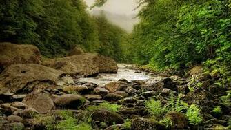 Landscape HD Wallpaper Nature Resolution