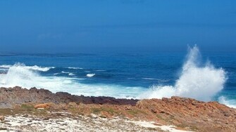 Table Mountain National Park Cape Town South Africa Natural Scenery