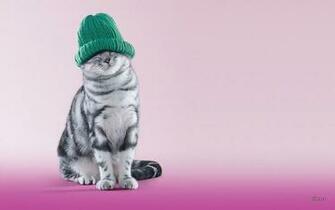 Funny Winter Wallpaper
