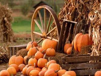 Fall Harvest Wallpaper HD